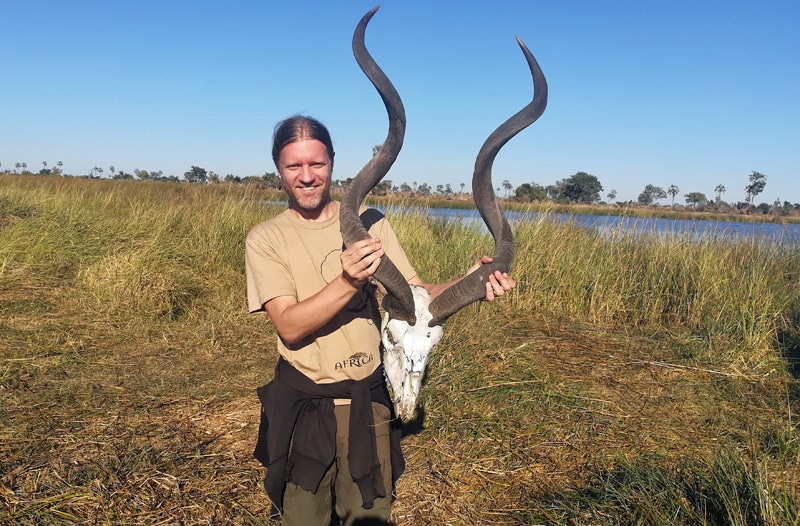 kudu horns skull