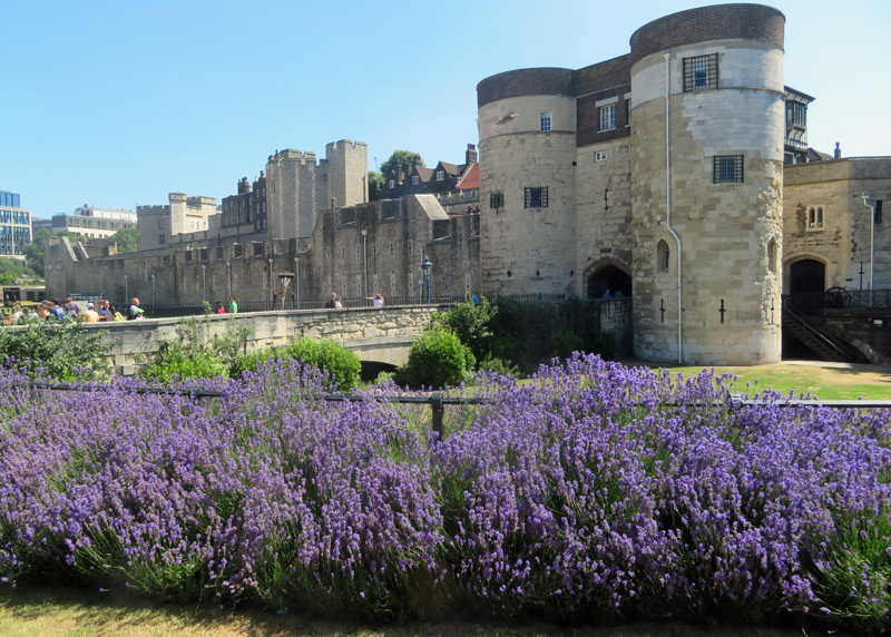 tower of london tour hours details