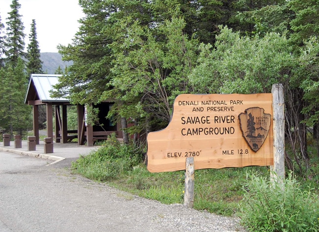 savage river campground