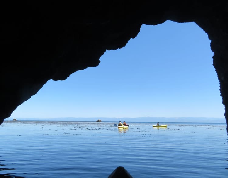 kayaking santa cruz island